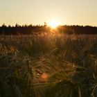 Die letzten Sonnenstrahlen...