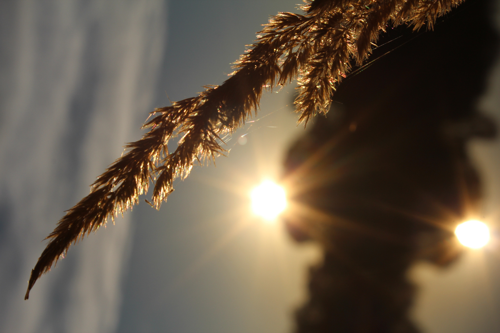 Die letzten Sonnenstrahlen des Herbstes!