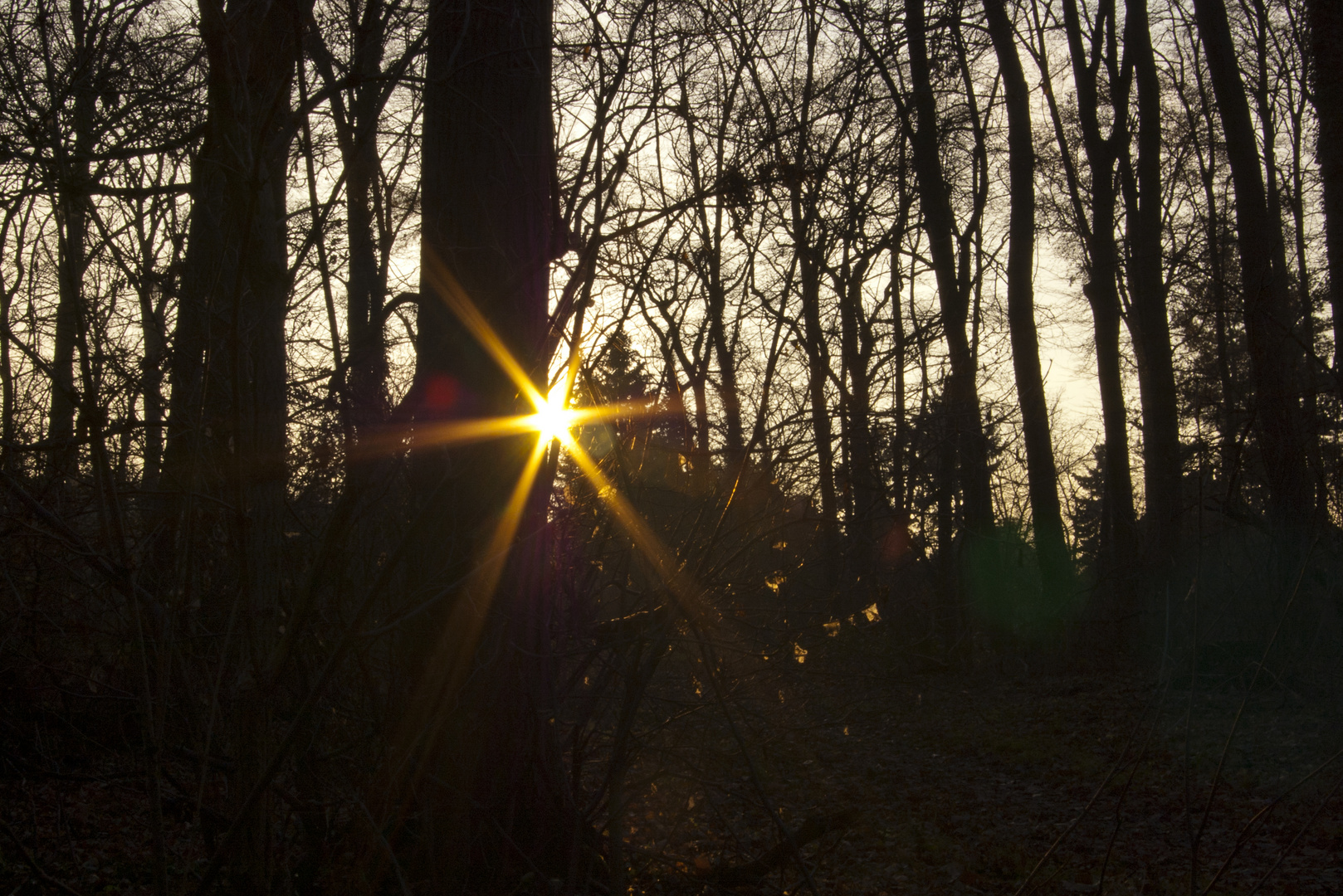 Die letzten Sonnenstrahlen des Tages