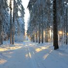 die letzten Sonnenstrahlen des Wintertags