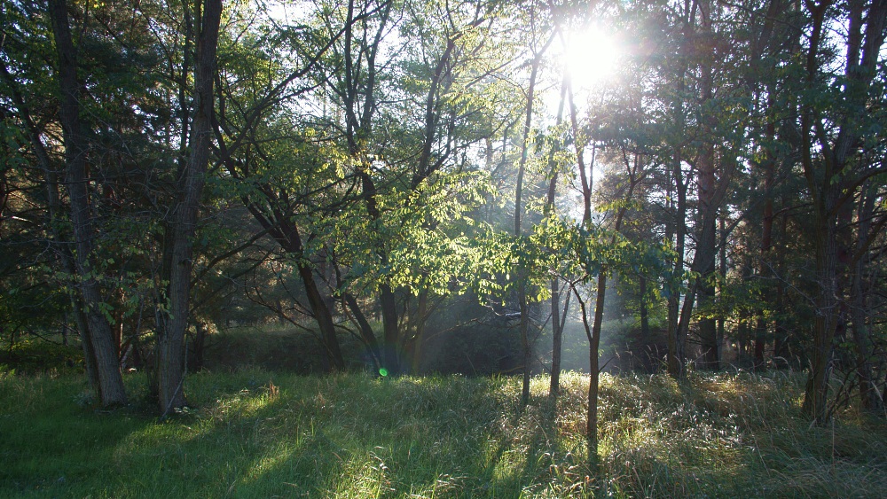 Die letzten Sonnenstrahlen