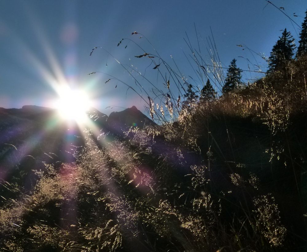 ...die letzten Sonnenstrahlen