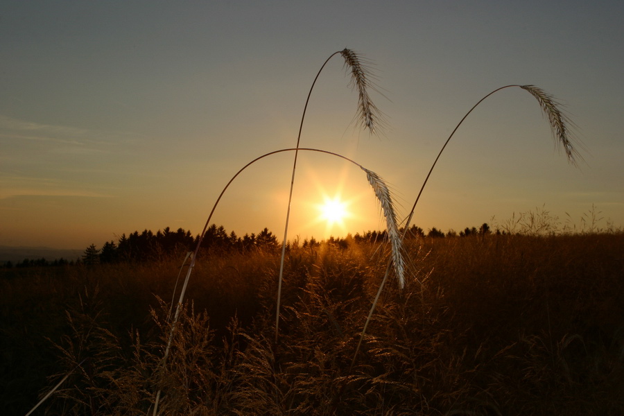 Die letzten Sonnenstrahlen . . .