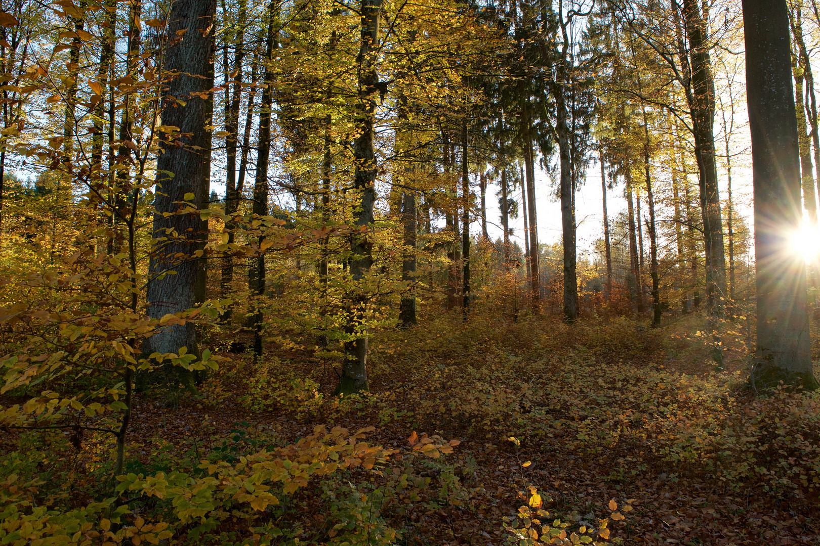 die letzten Sonnenstrahlen einfangen