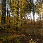 die letzten Sonnenstrahlen einfangen