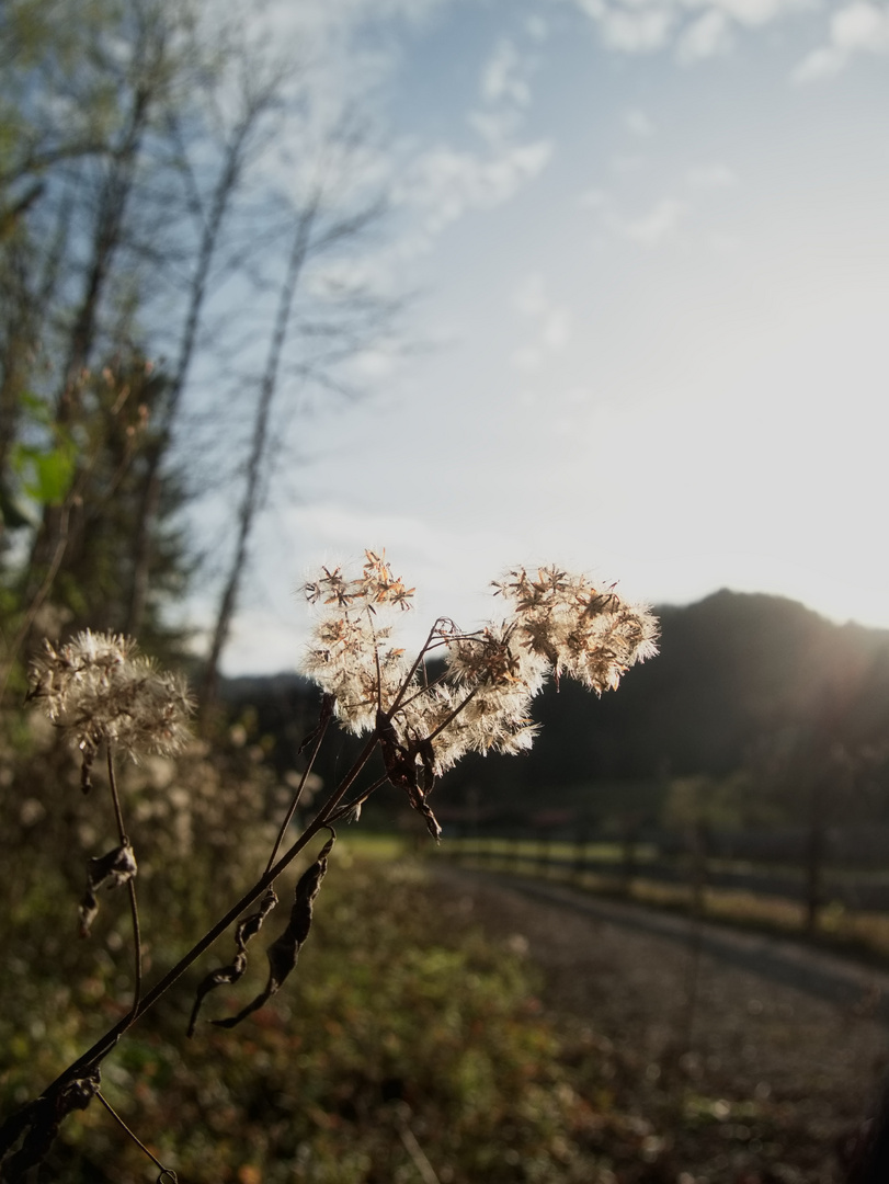 Die letzten Sonnenstrahlen einfangen