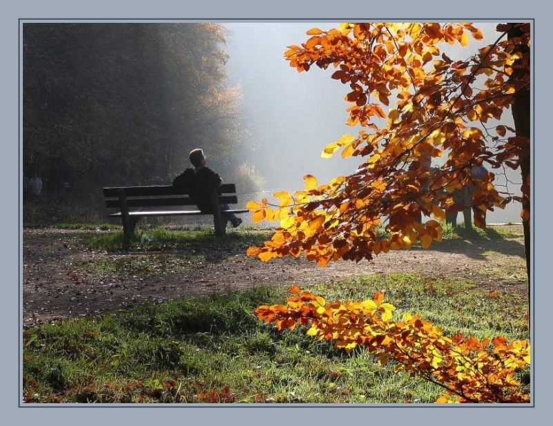 Die letzten Sonnenstrahlen