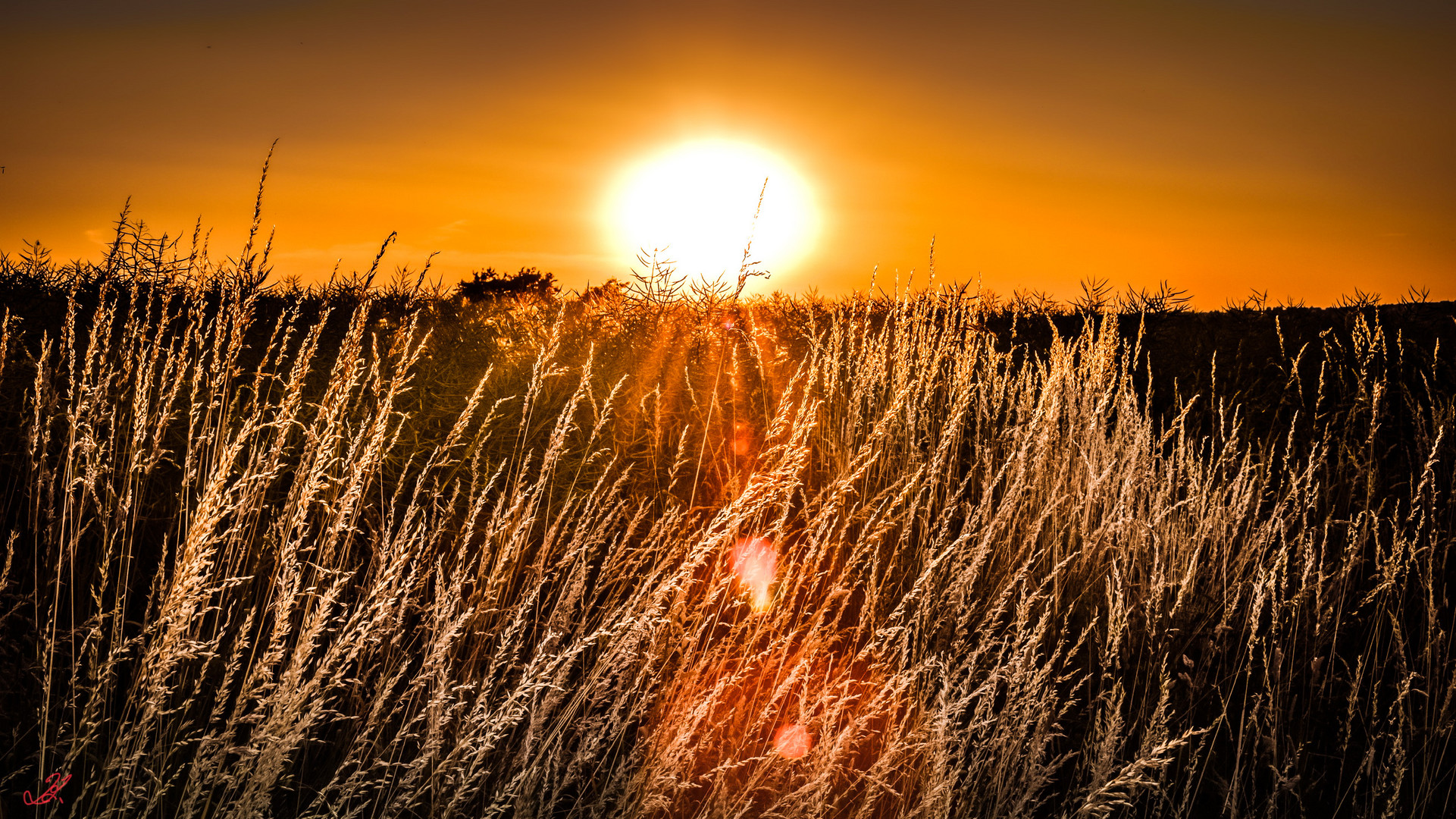 Die LetzteN SonnenStRahLen