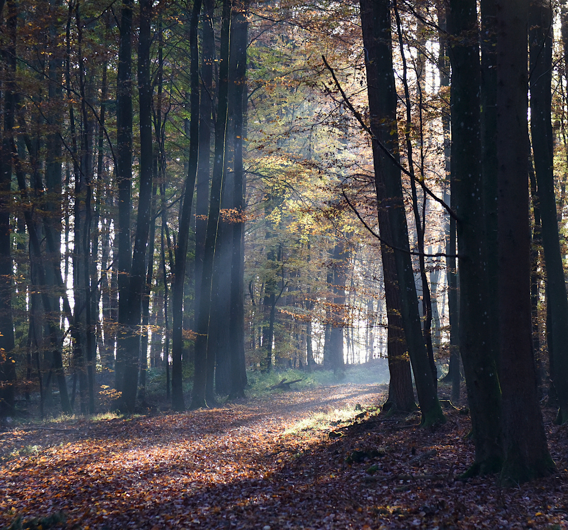 die letzten Sonnenstrahlen!