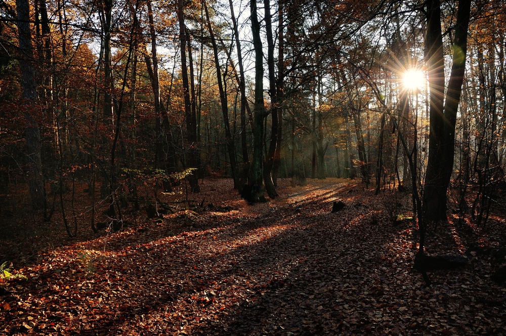 Die letzten Sonnenstrahlen für heute, noch eine kurze Feierabendrunde...