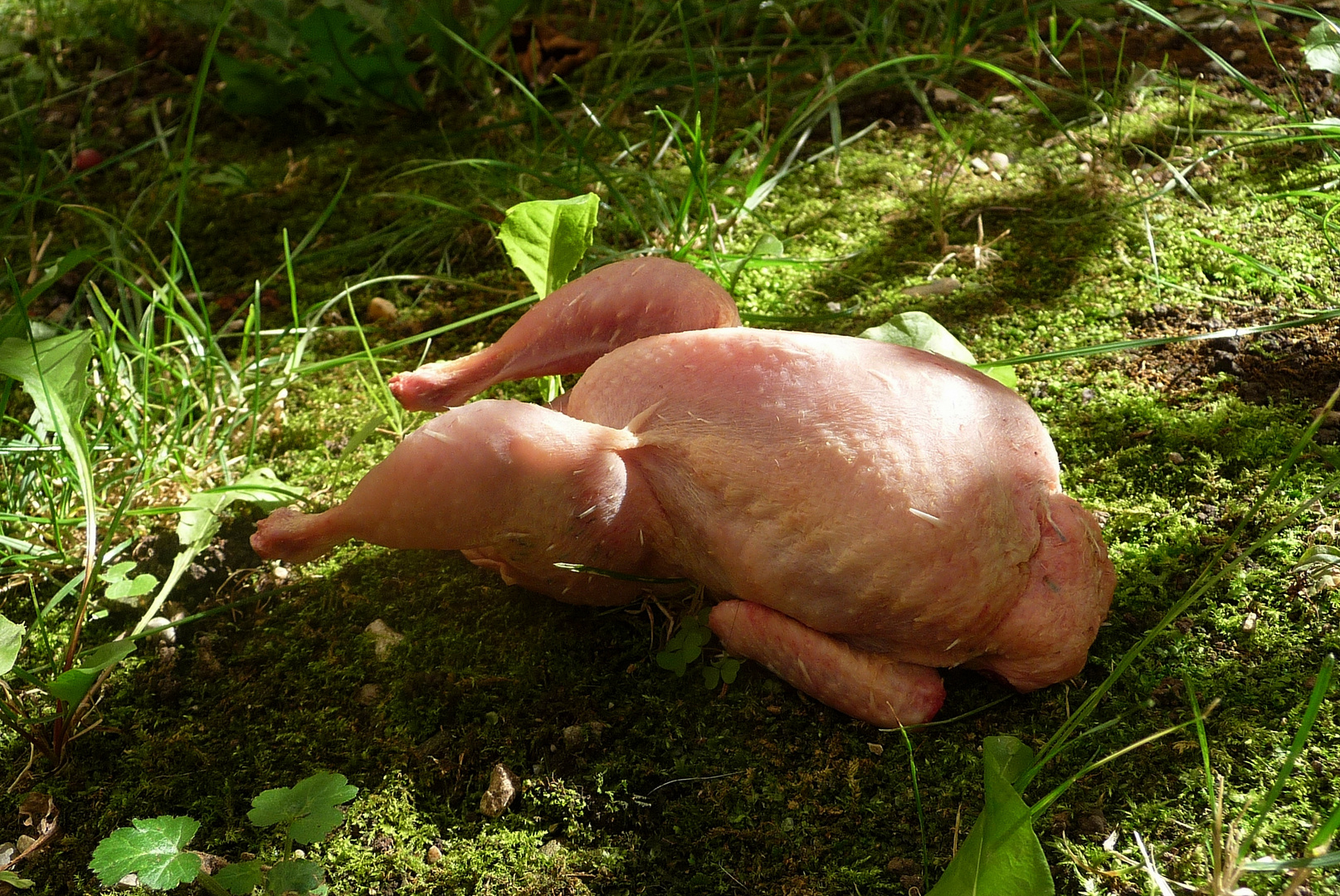 die letzten Sonnenstrahlen genießen