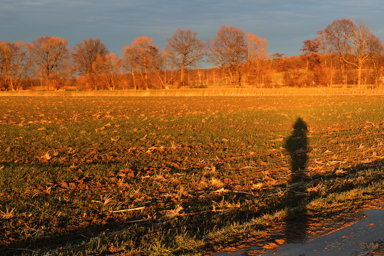 Die letzten Sonnenstrahlen gestern, am 22.01.2022, gegen 16:00 Uhr