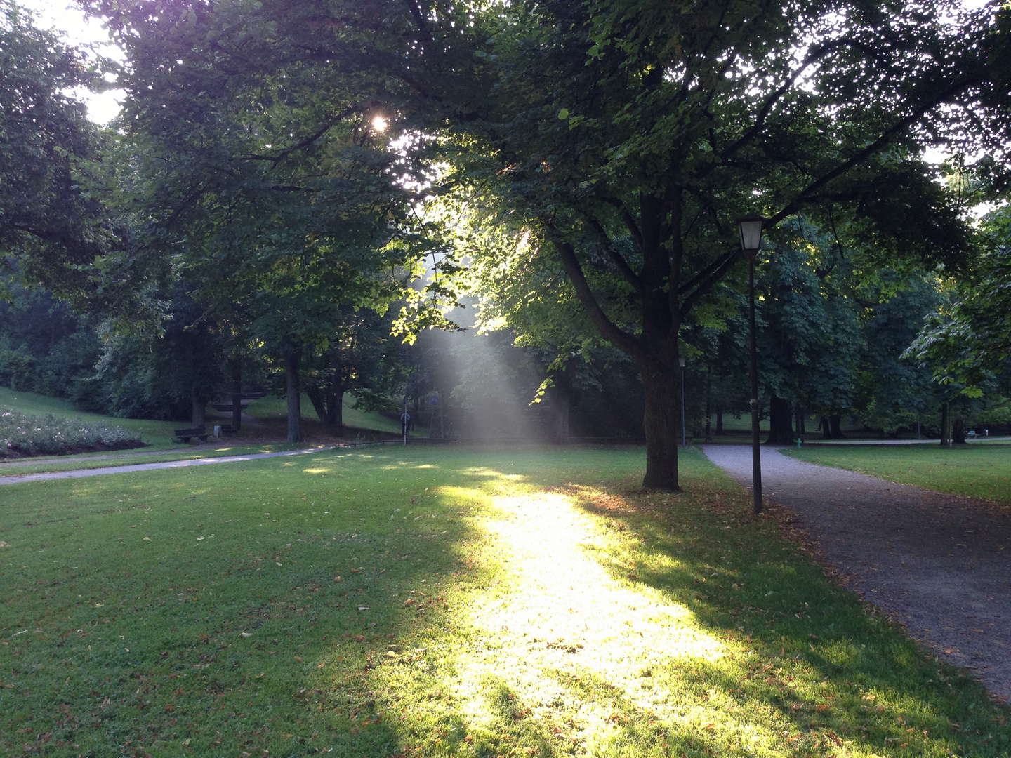 Die letzten Sonnenstrahlen im Herbst