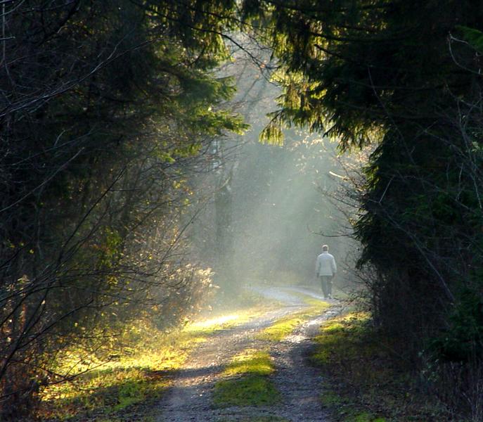 die letzten Sonnenstrahlen im Herbst