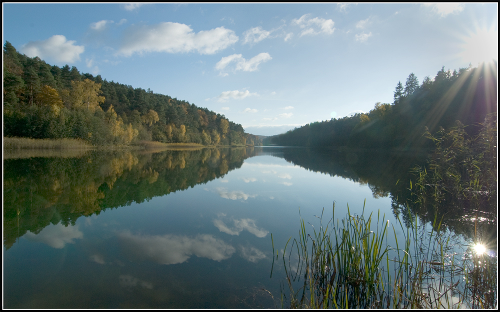 Die letzten Sonnenstrahlen im Oktober...(II)