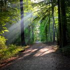 Die letzten Sonnenstrahlen im September