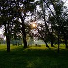 Die letzten Sonnenstrahlen im Sommer