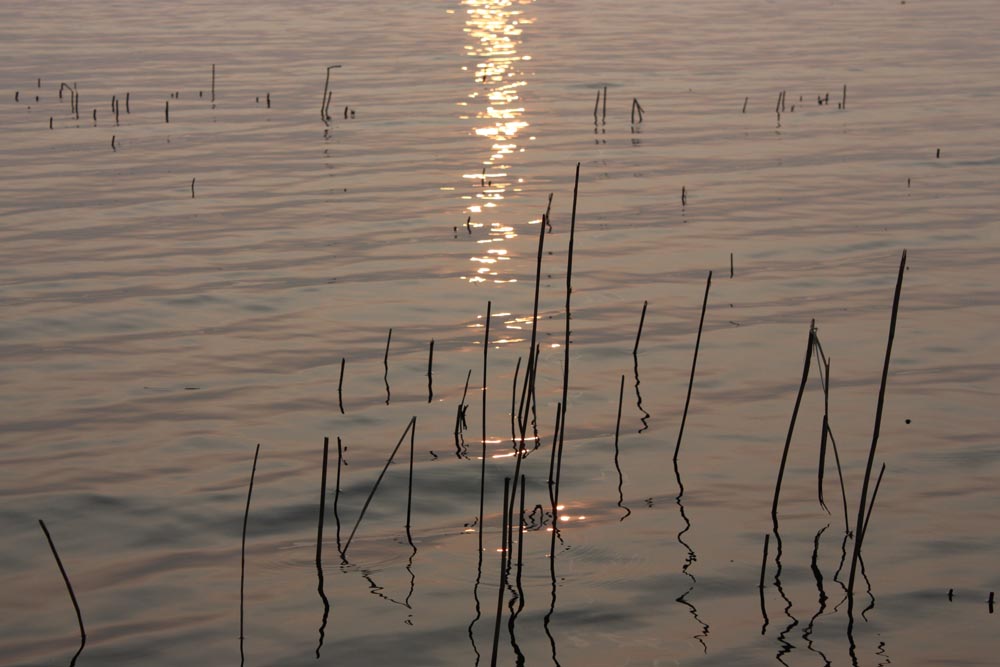 Die letzten Sonnenstrahlen im Wasser