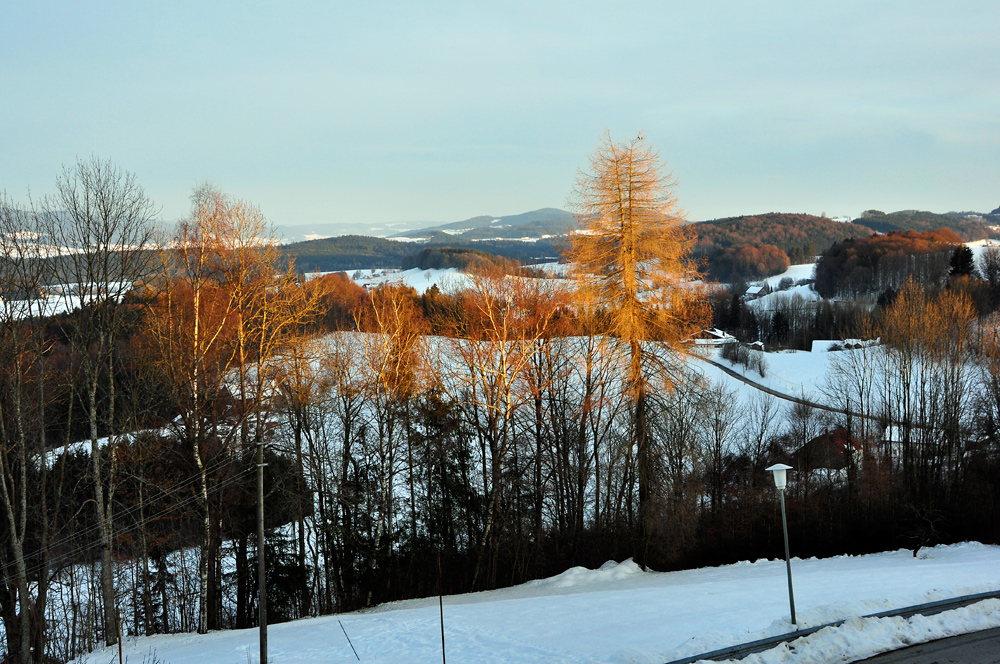 Die letzten Sonnenstrahlen nach einem sonnigen Wintertag