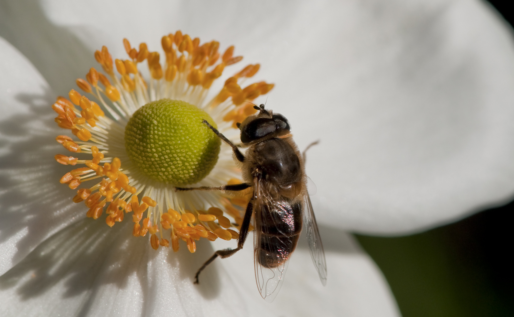 Die letzten Sonnenstrahlen nutzen