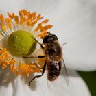 Die letzten Sonnenstrahlen nutzen