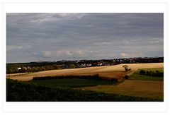 Die letzten Sonnenstrahlen über Rheinhessen