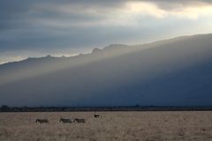 Die letzten Sonnenstrahlen über Tsavo