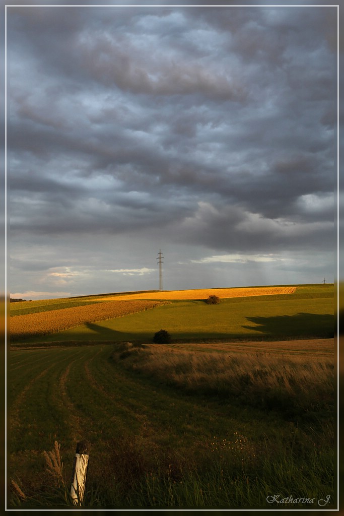 ... die letzten Sonnenstrahlen vor dem Gewitter