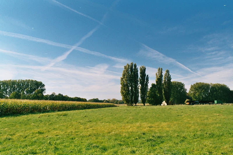 Die letzten sonnigen Tage