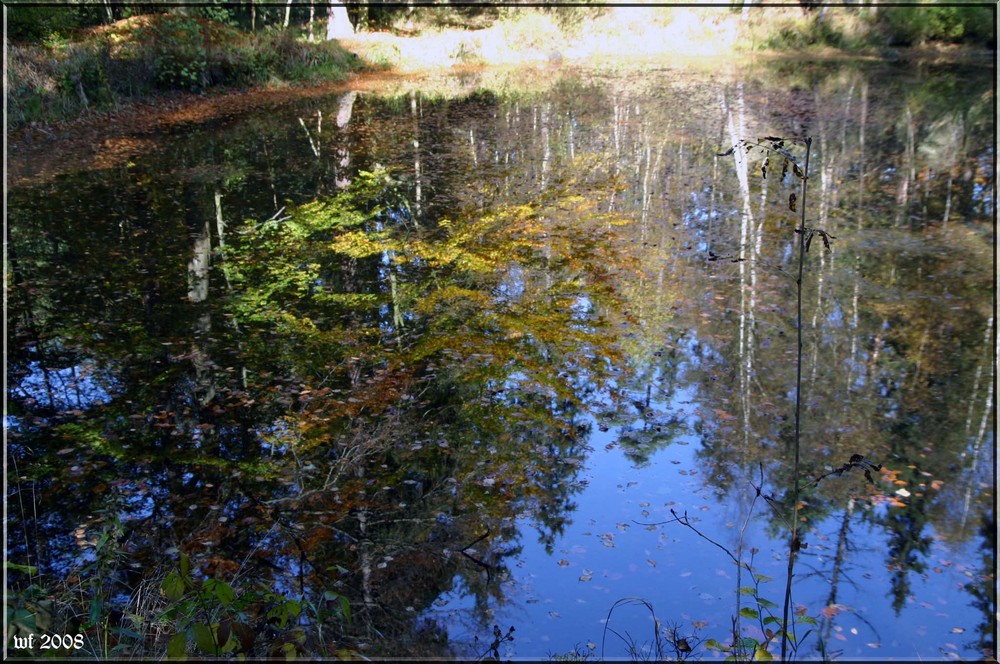 Die letzten Spiegelungen der Herbstsonne?