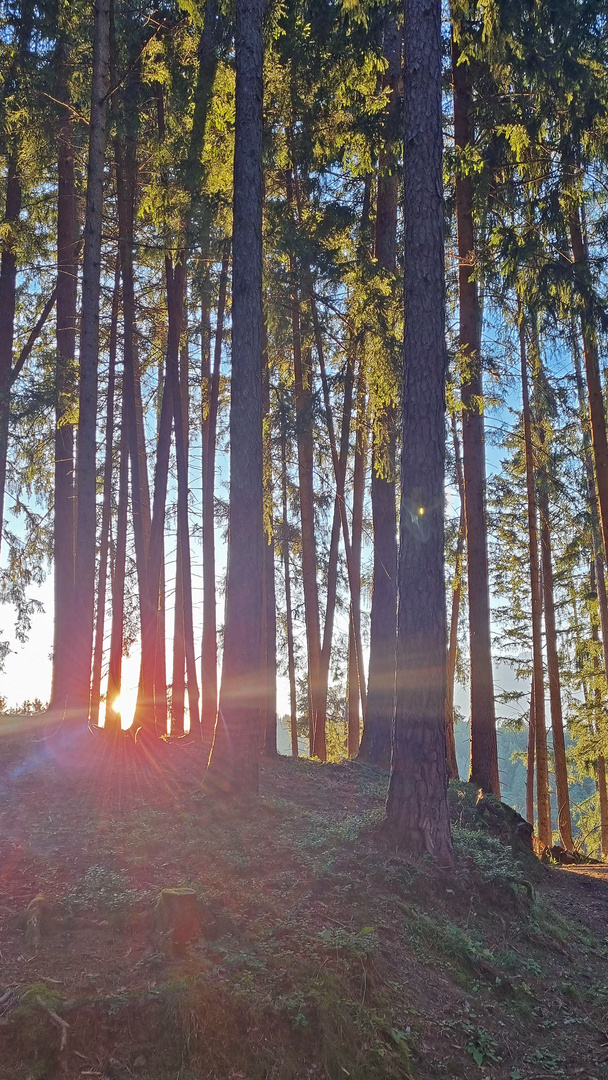 die letzten Strahlen der Sonne