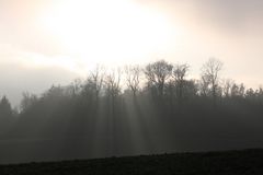 Die letzten Strahlen der Wintersonne