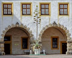 Die letzten Stunden der Agave