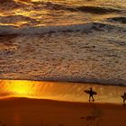 Die letzten Surfer verlassen den Strand