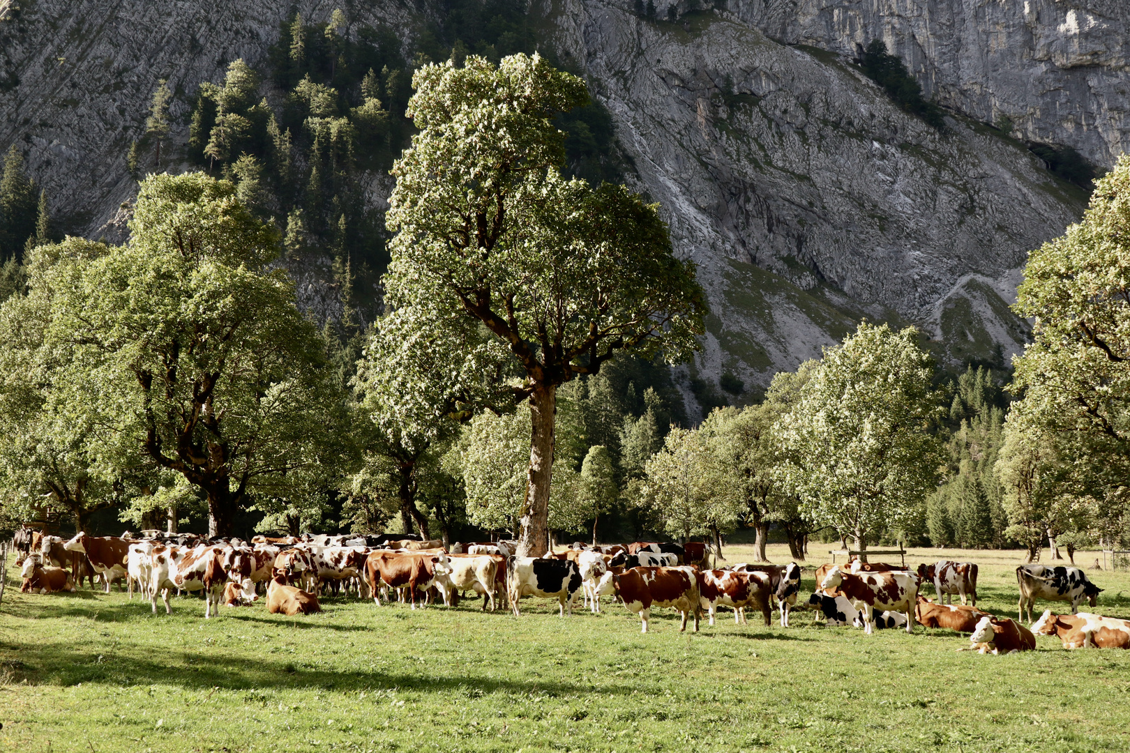 Die letzten Tage