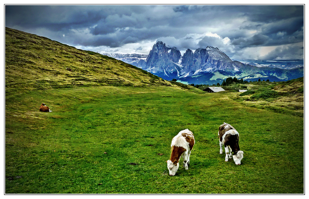 Die letzten Tage auf der Alm