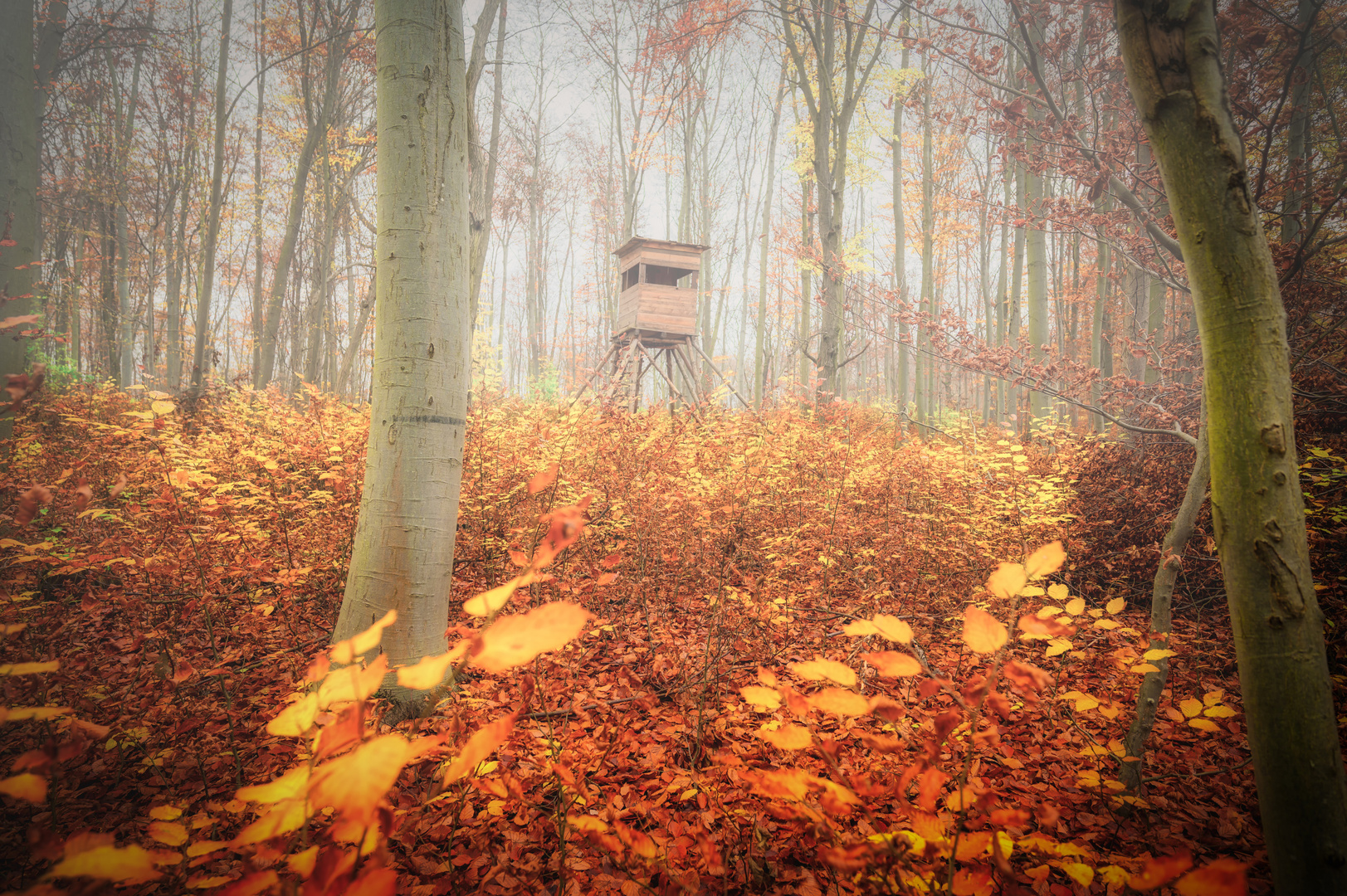 Die letzten tage des Herbstes