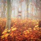 Die letzten tage des Herbstes