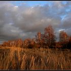 Die letzten Tage des Herbstes