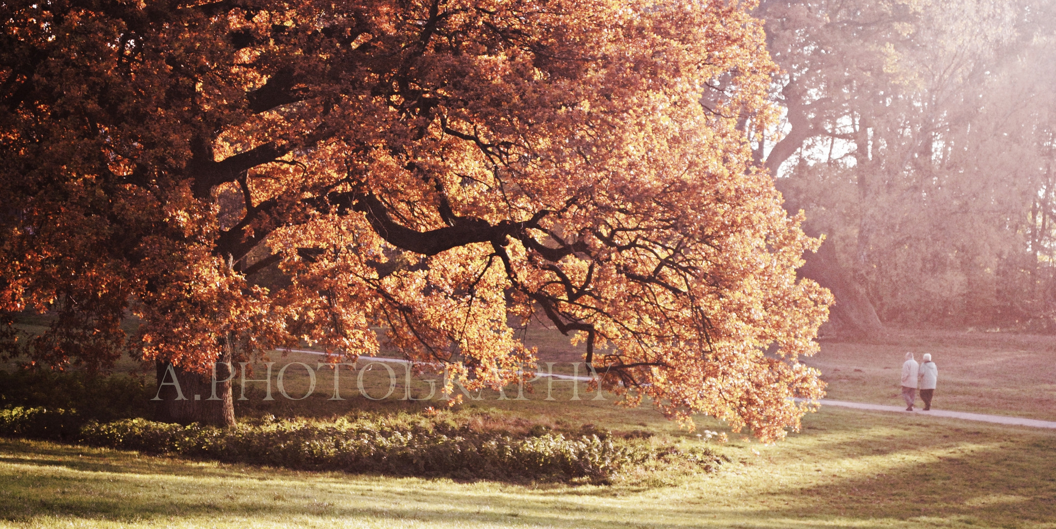 Die letzten Tage des Herbstes.