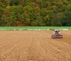 die letzten Tage im Herbst