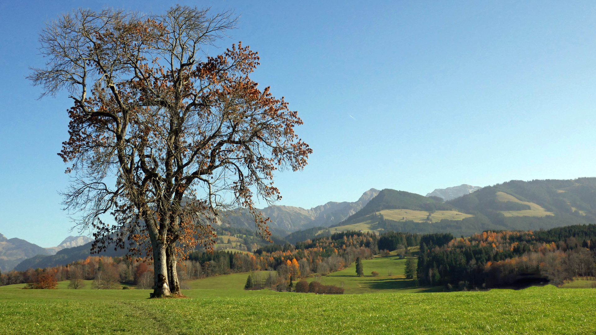 Die letzten Tage im Herbst