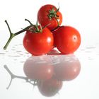 die letzten Tomaten