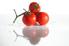 die letzten Tomaten