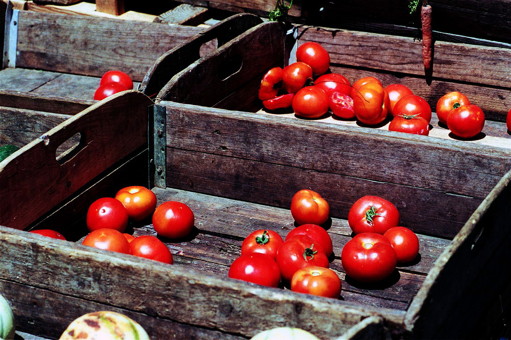 Die letzten Tomaten auf dem Markt