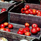 Die letzten Tomaten auf dem Markt