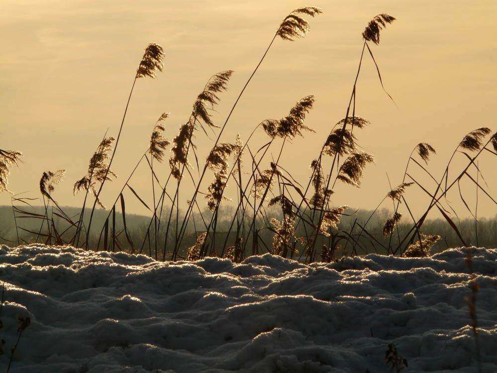 Die Letzten trotzen dem Wind und der Kälte