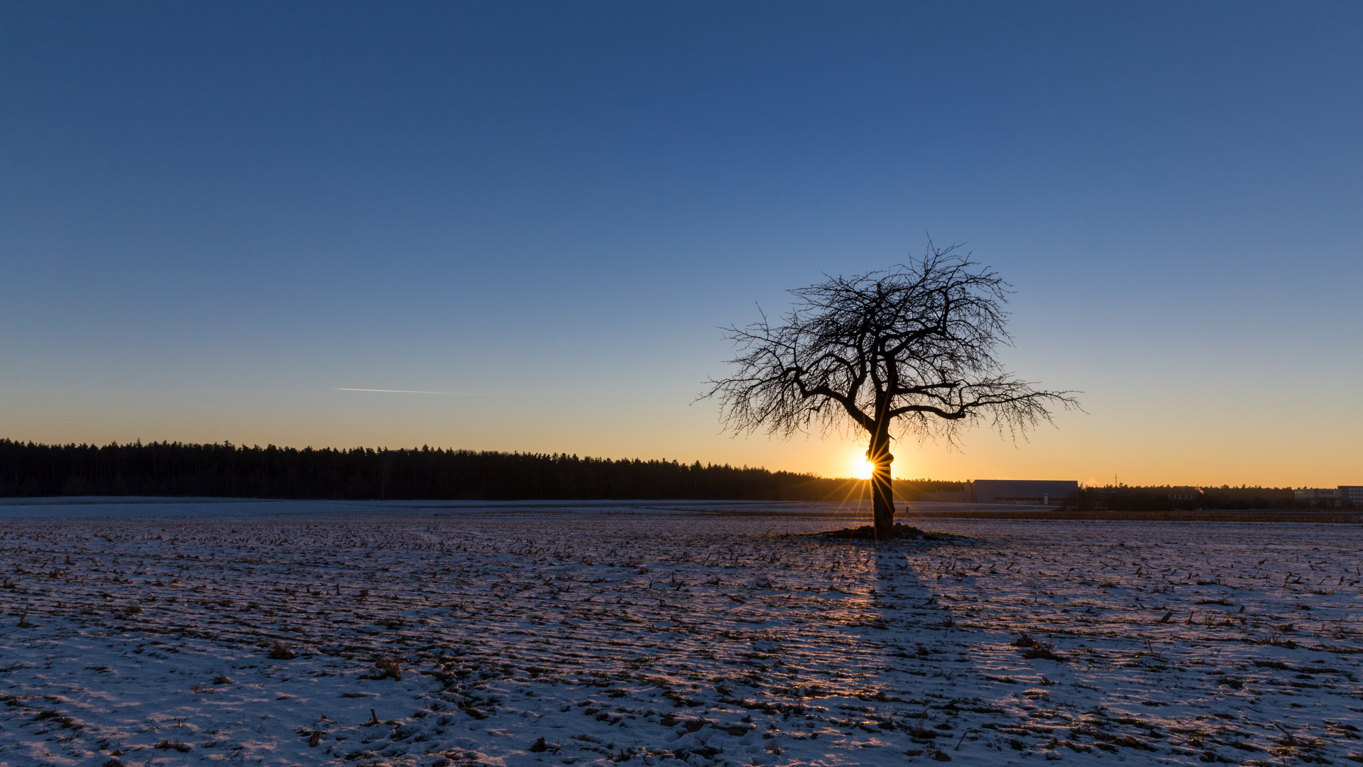 Die letzten wärmenden Sonnenstrahlen