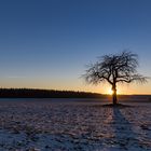 Die letzten wärmenden Sonnenstrahlen