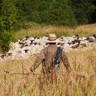 Die letzten Wanderschäfer